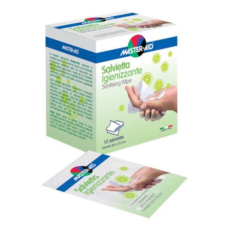 Master Aid Salviette Igienizzanti 12 Pezzi