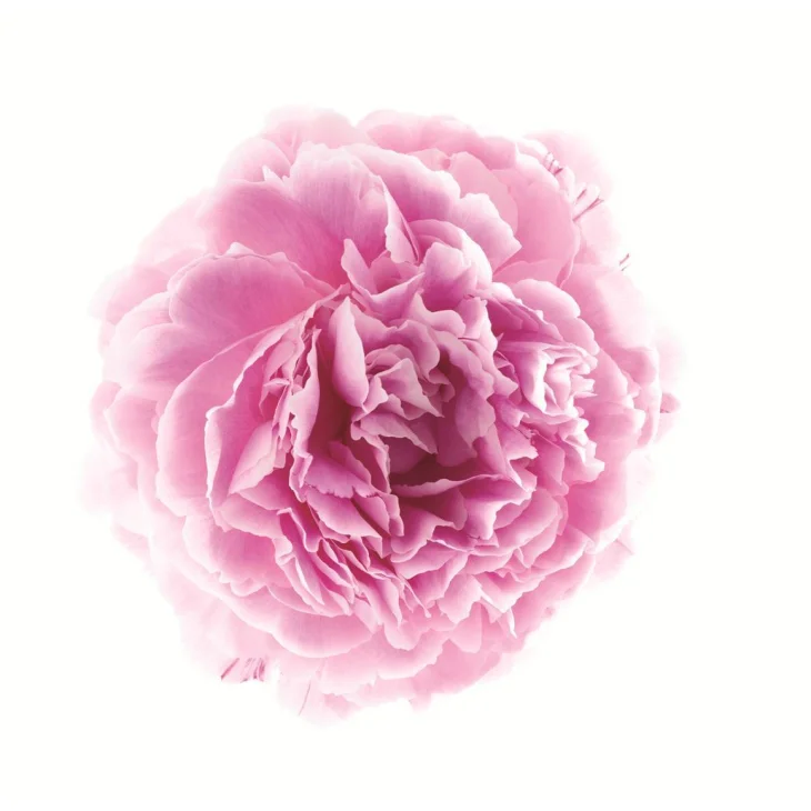 Klorane Gel Crema Idratante alla Peonia 200 ml