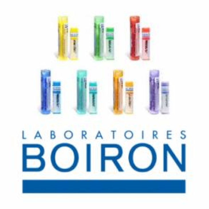 Boiron Argentum Metallicum 5CH Granuli
