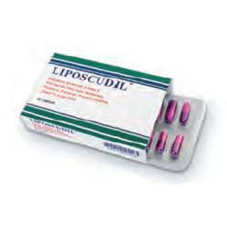 Piam Farmaceutici Liposcudil Integratore Alimentare 30 capsule
