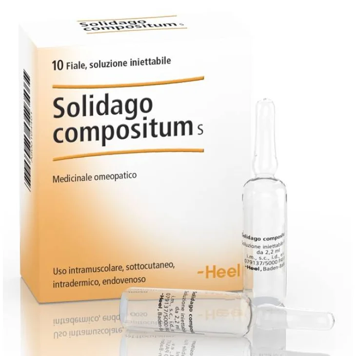 Heel Solidago Compositum 10 Fiale da 2,2 ml
