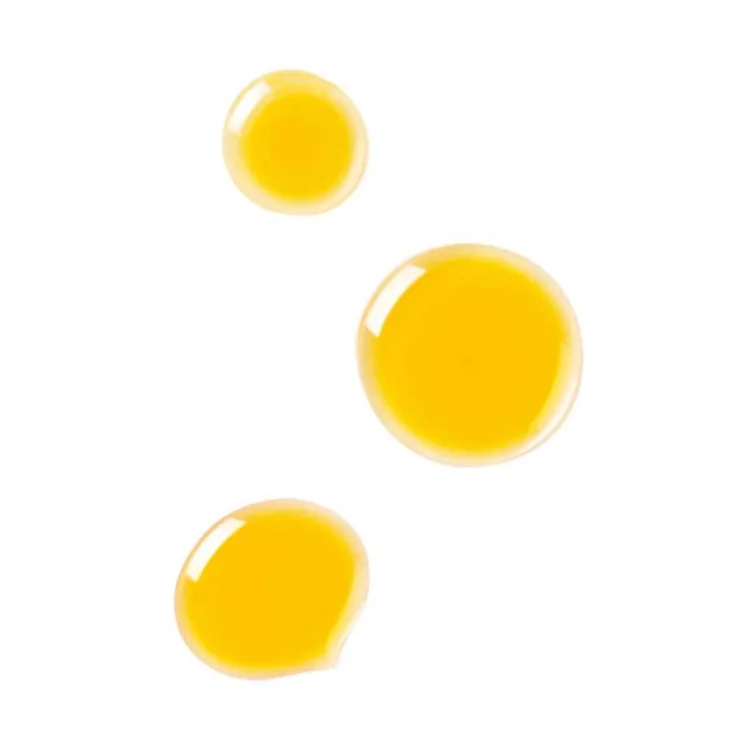 Dr Hauschka Olio Riequilibrante Giorno per la Pelle Grassa del Viso 18 Ml