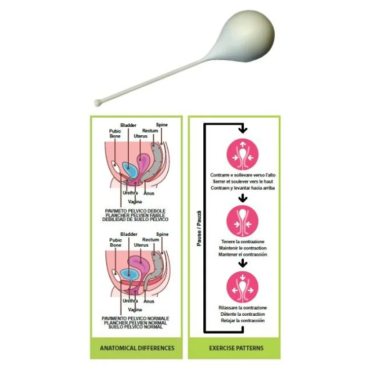 Pelvik L 1 Cono Vaginale