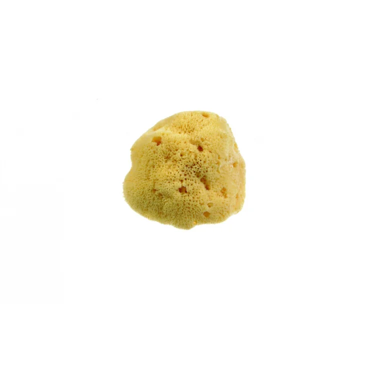 Beautytime Spugna Naturale Fine Dama Misura Media