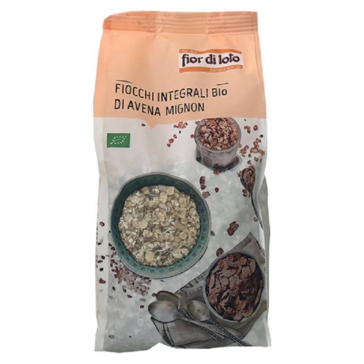 Fior di Loto Fiocchi di Avena Integrale Mignon  Bio 500 g
