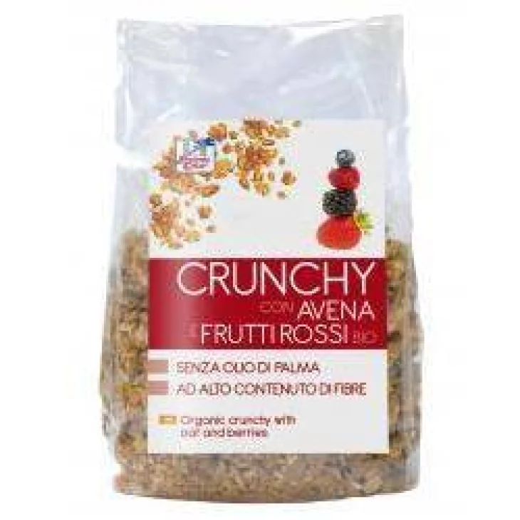 FSC CRUNCHY CON AVENA E FRUTTI ROSSI BIO AD ALTO CONTENUTO DI FIBRE CON OLIO DI GIRASOLE SENZA OLIO DI PALMA 375 G