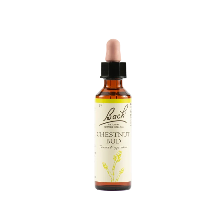 Schwabe Pharma Chestnut Bud Bach Original 20 ml