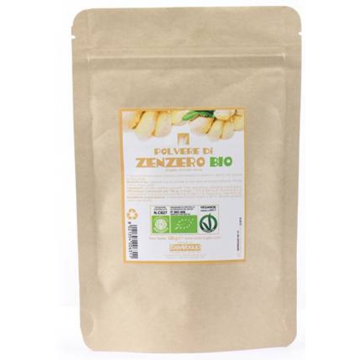 ErbaVoglio Zenzero Polvere Bio 100 g