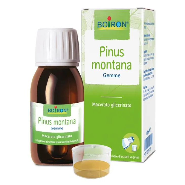 Pinus Montana Macerato Glicerico 60 Ml Int