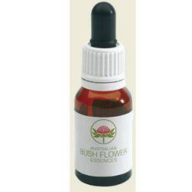 Australian Bush Flower Angelsword Essenza in gocce 15 ml