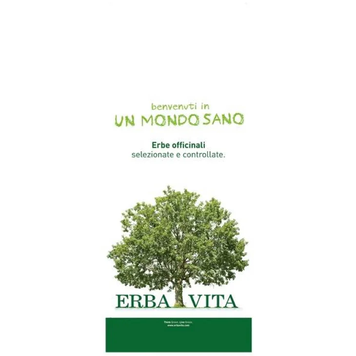 ARGILLA VERDE SUPERVENTILATE UI 300 G