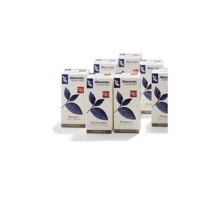 Fitomedical Tamarindo Tintura madre 50 ml