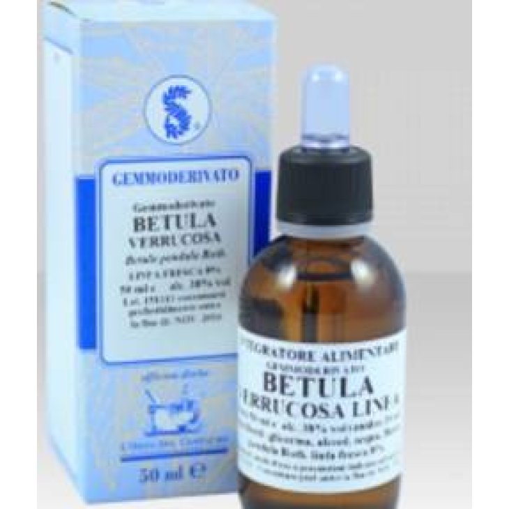 Betula Verrucosa Linfa 100 ml