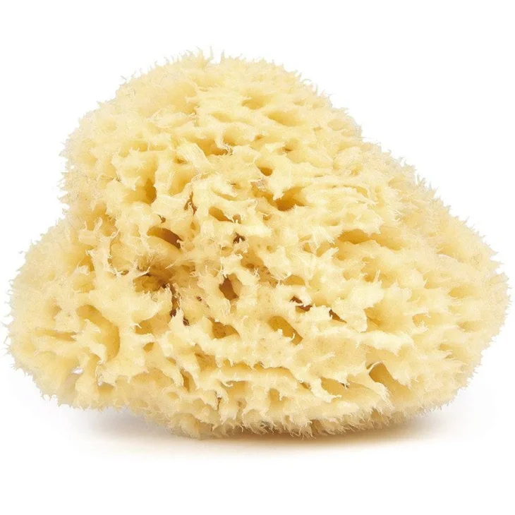 Wal Spugna Naturale Viso