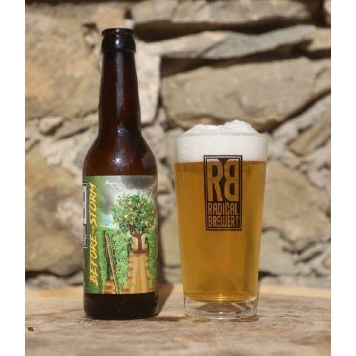 Radical Brewery Before The Storm Birra Artigianale Senza Glutine 33 cl