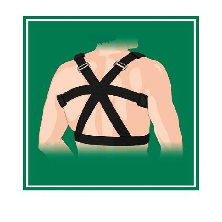 Gibaud Ortho Taglia 02 Sostegno per il dorso 1 pezzo
