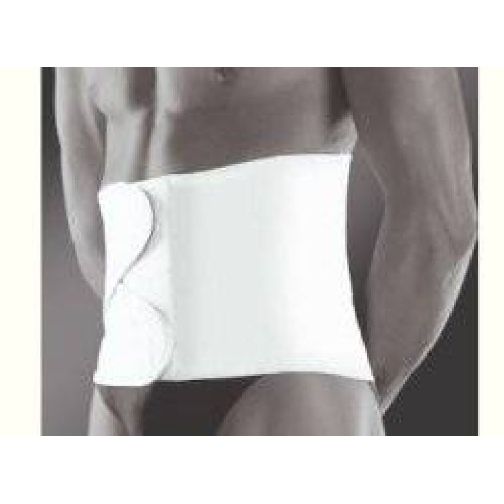 Pavis Wellness 675 30 cm altezza Fascia post operatoria Grigia TG S