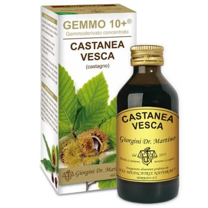 Dr Giorgini Castagno Liquido Analcolico per la circolazione del sangue 100 ml