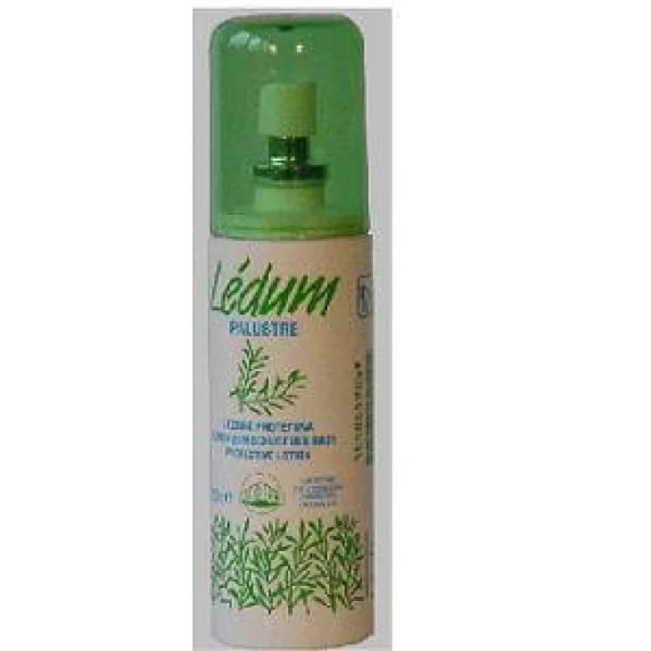 LEDUM LOZIONE PROTETTIVA 100 ML