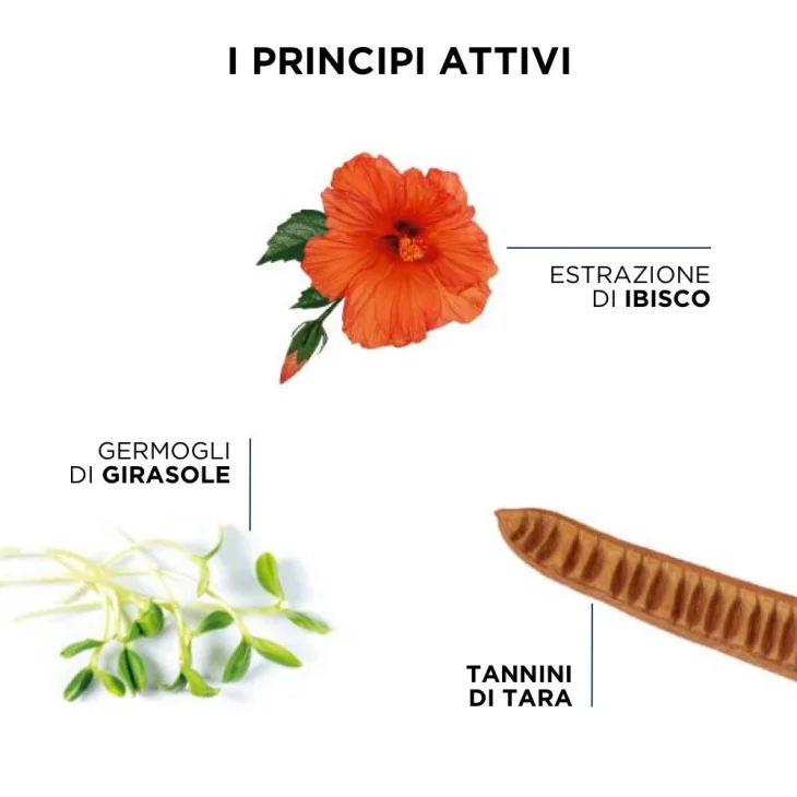 Phyto Phytocolor Shampoo Protettivo Del Colore Per Capelli Colorati 250 ml