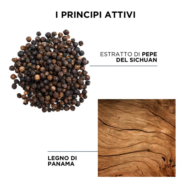 Phyto Phytopanama Shampoo Delicato Equilibrante Per Cuoio Capelluto Grasso 250 ml
