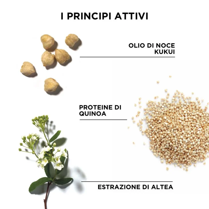 Phyto Phytodefrisant Shampoo Disciplinante Per Capelli Crespi 250 ml