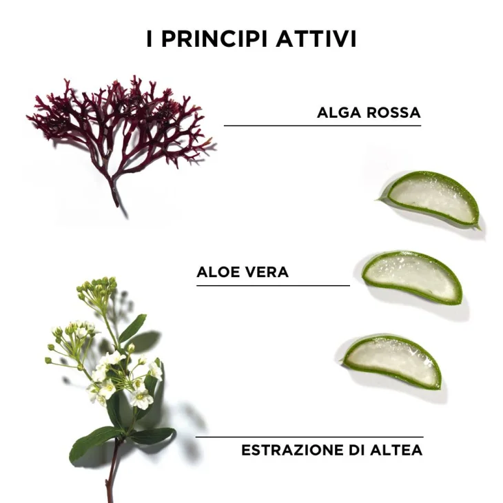 Phyto Phytodefrisant Trattamento Ritocco Anti-Crespo Per Capelli Crespi 50 ml
