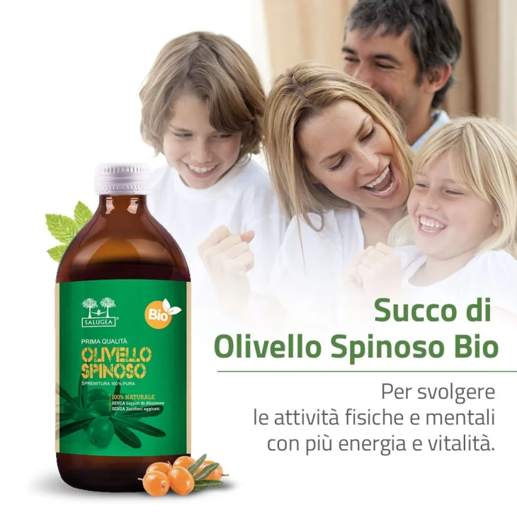 Salugea Succo Olivello Bio Energizzante 500 ml