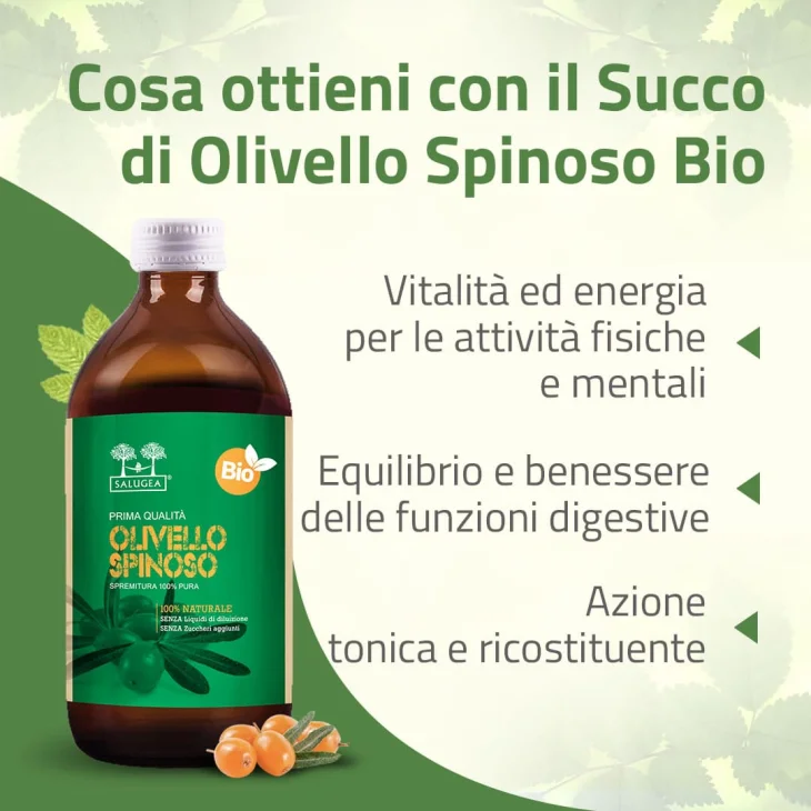 Salugea Succo Olivello Bio Energizzante 500 ml