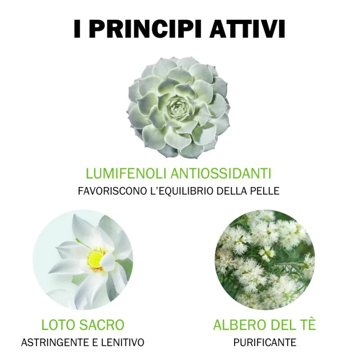 Jowaé Gel Purificante Anti Imperfezioni Viso 40 ml