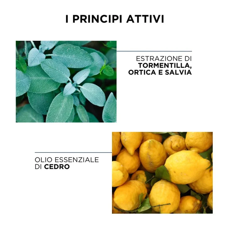 Phyto Phytocedrat Shampoo Purificante Sebo Regolatore Per Capelli Grassi 400 ml