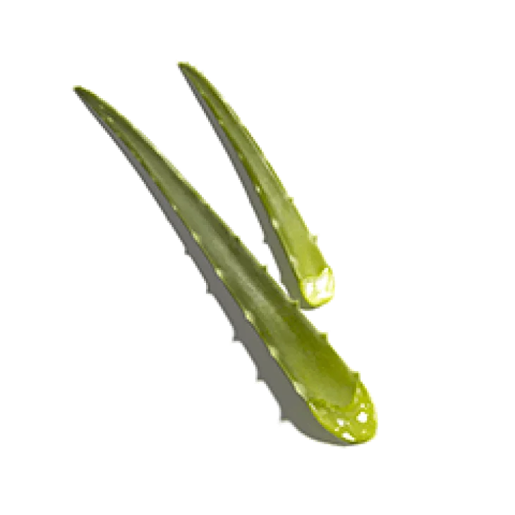 Caudalie Vinosource-HydraGel D’Acqua D’Uva Idratante 50 ml