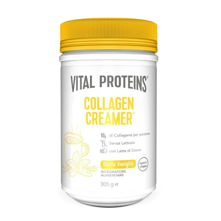 Vital Proteins Collagen Creamer Integratore di collagene Gusto Vaniglia 12 Pezzi