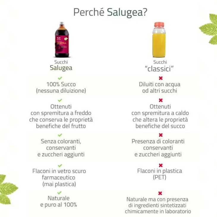 Salugea Succo Acerola Bio Vitamina C 500 ml