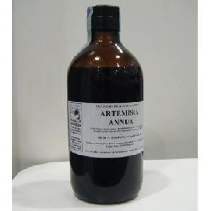 Artemisia Annua 500 ml Gocce