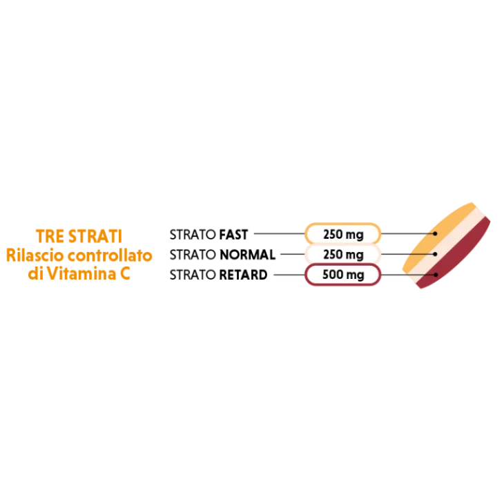 Apropos Vitamina C 1000 Retard Integratore 24 compresse