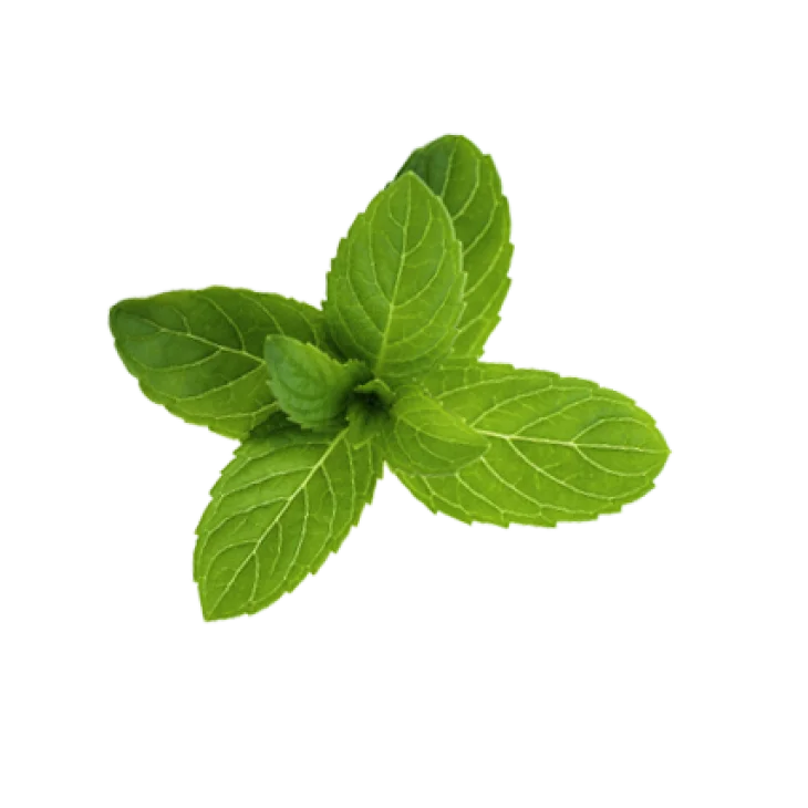 Klorane Polvere Purificante 3 in 1 alla Menta BIO e all'Argilla 50gr