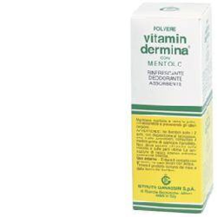 Vitamindermina Polvere Mentolo 100 g