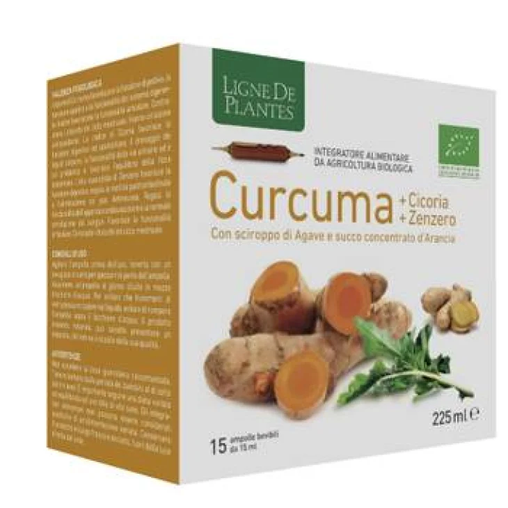 Curcuma Cicoria Zenzero Bio 15 Ampolle Bevibili da 15 ml