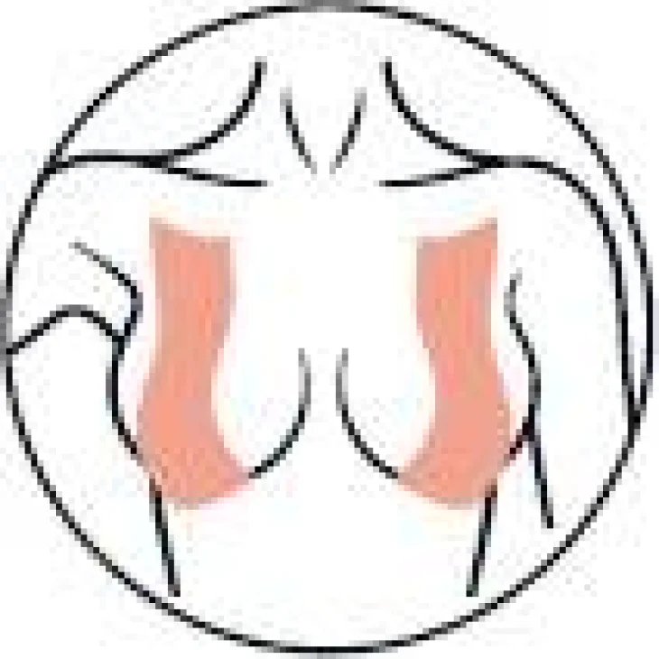Wonder Company Reggiseno Adesivo In Nastro 5 Metri