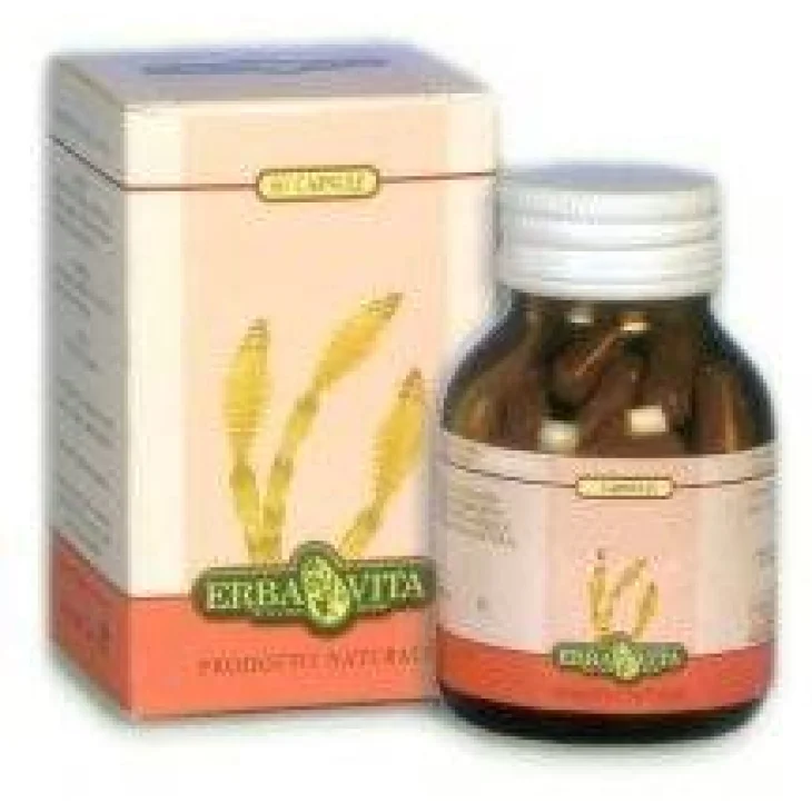 ErbaVita Capsule Monoplanta Epilobio Integratore per la prostata 60 Capsule