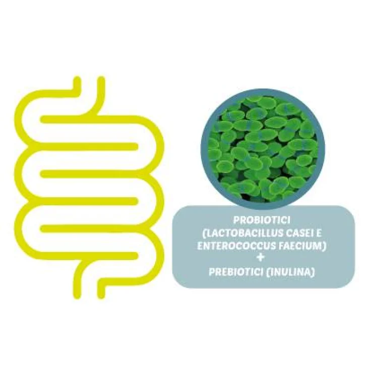 Petformance Fermenti Flora Fermenti Lattici per Cani e Gatti 30 Compresse