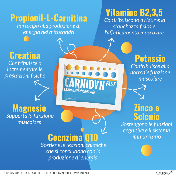 Carnidyn Fast Integratore di Magnesio e Potassio per la Stanchezza Fisica 12 bustine