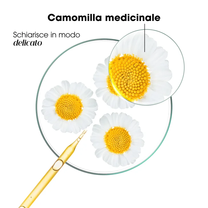 Klorane Shampoo Schiarente alla Camomilla Formato 200 ml Klorane Shampoo Schiarente alla Camomilla Formato 200 ml