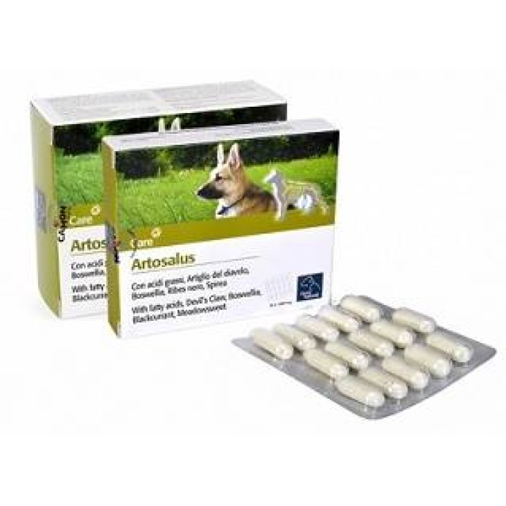 Camon Artosalus Compresse Integratore per le articolazioni di cani e gatti 60 compresse