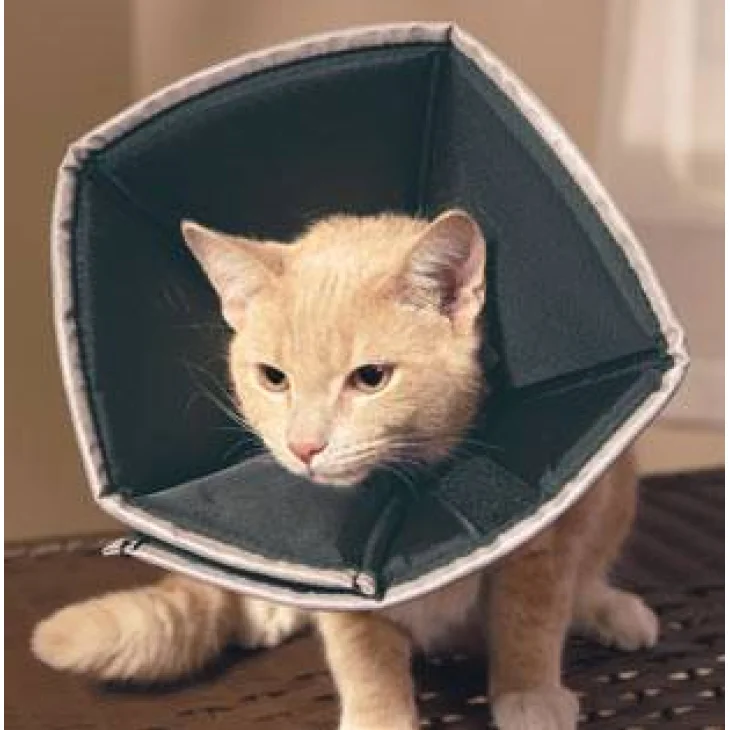 Candioli Comfy Cone Collare elisabettiano per cani e gatti M 1 pezzo