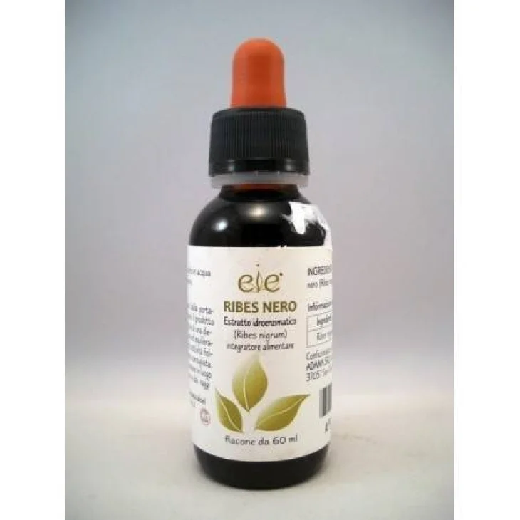 Adama E.I.E. Ribes Nero Estratto Idroenzimatico Integratore Alimentare per Naso Gola e Articolazioni 60 ml