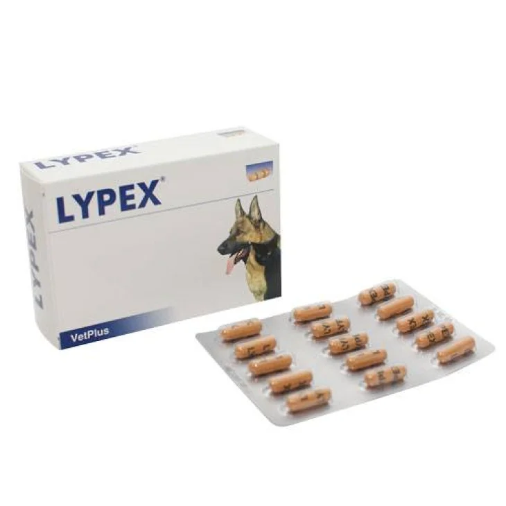 VetPlus Lypex Mangime Complementare per Cani e Gatti 60 capsule