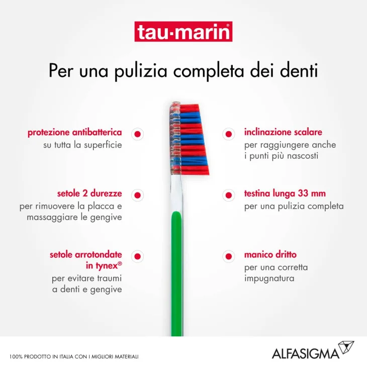 Tau-Marin Scalare 33 Setole Dure 1 Pezzo