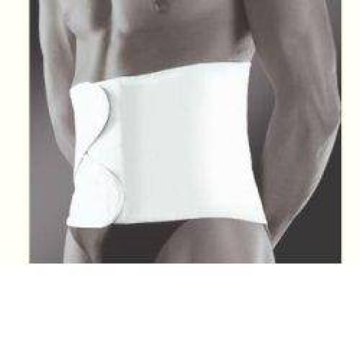 Pavis Wellness 674 27 Cm Altezza Fascia anatomica postoperatoria Grigia - Taglia: L